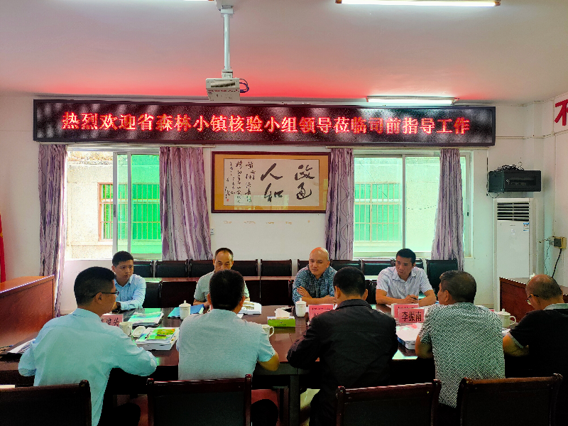 核验小组听取司前镇汇报.jpg