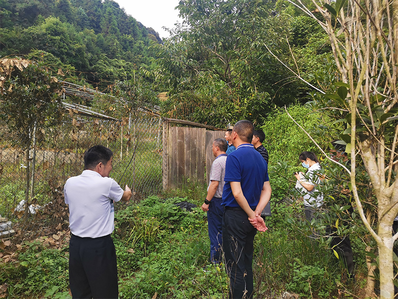 广东始兴南山省级自然保护区-1.jpg
