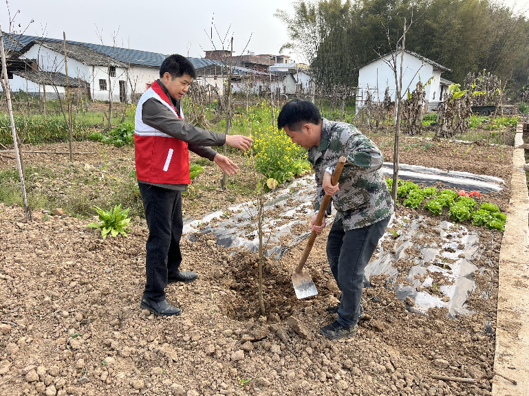 已编辑图片