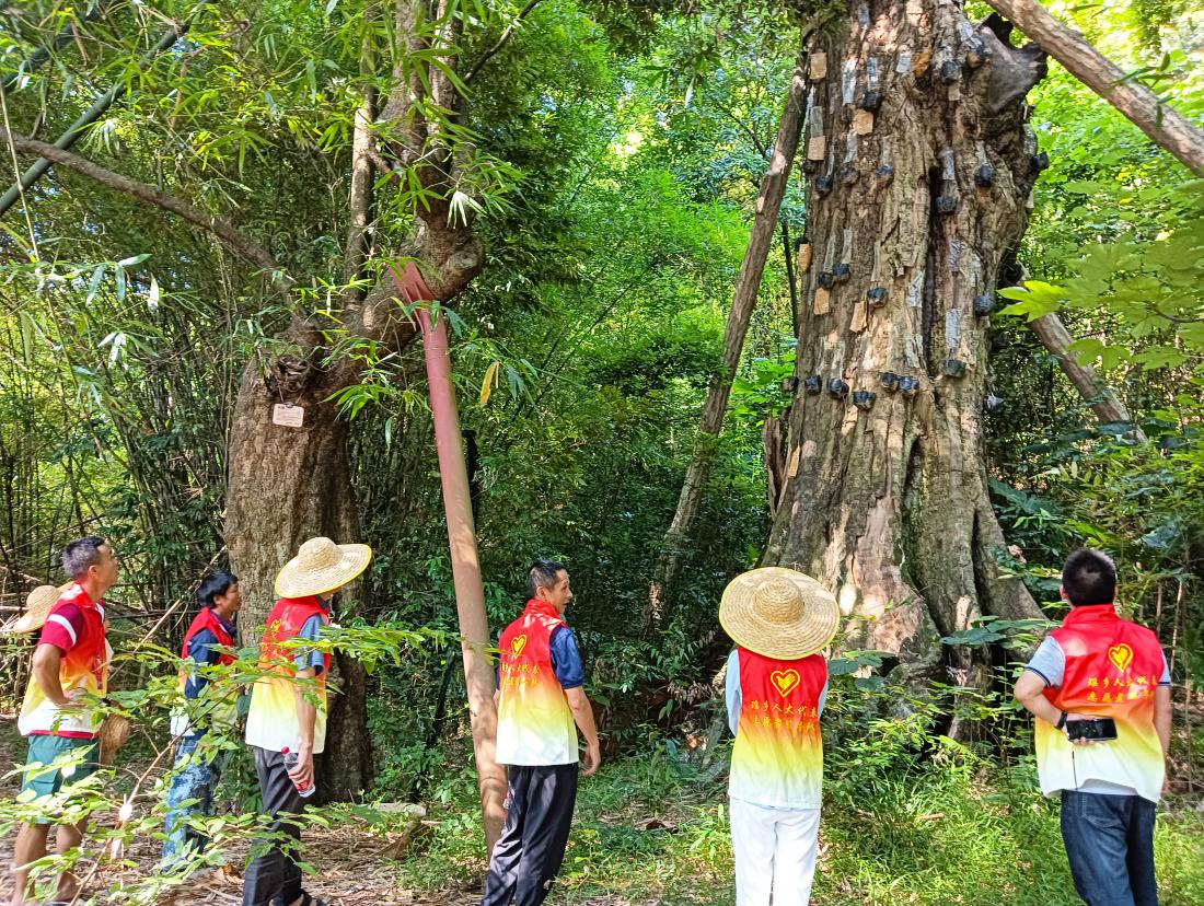 图片1.jpg