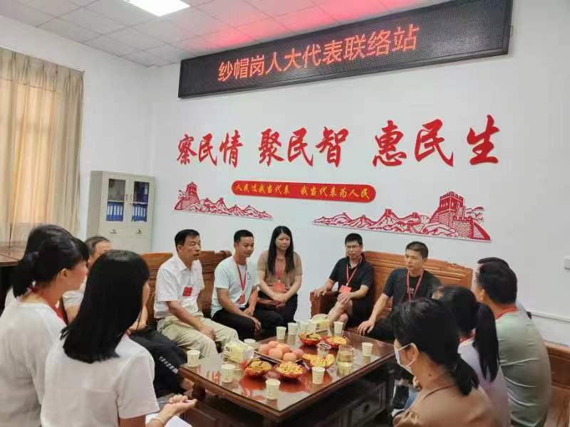 太平镇纱帽岗村联络站开展“更好发挥人大代表作用”主题活动 (1).JPG
