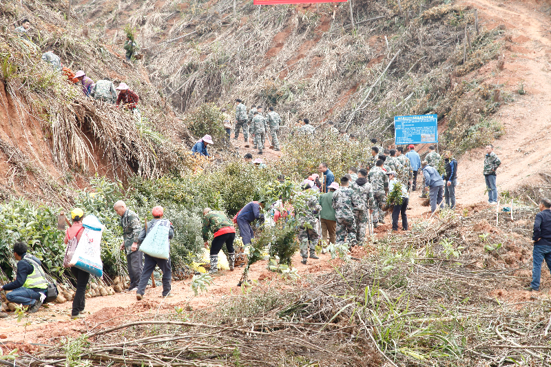 组织广大干部群众和护林员开展植树造林活动1.jpg