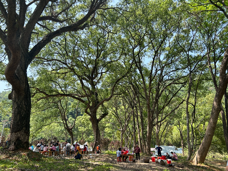2506601 (5).png