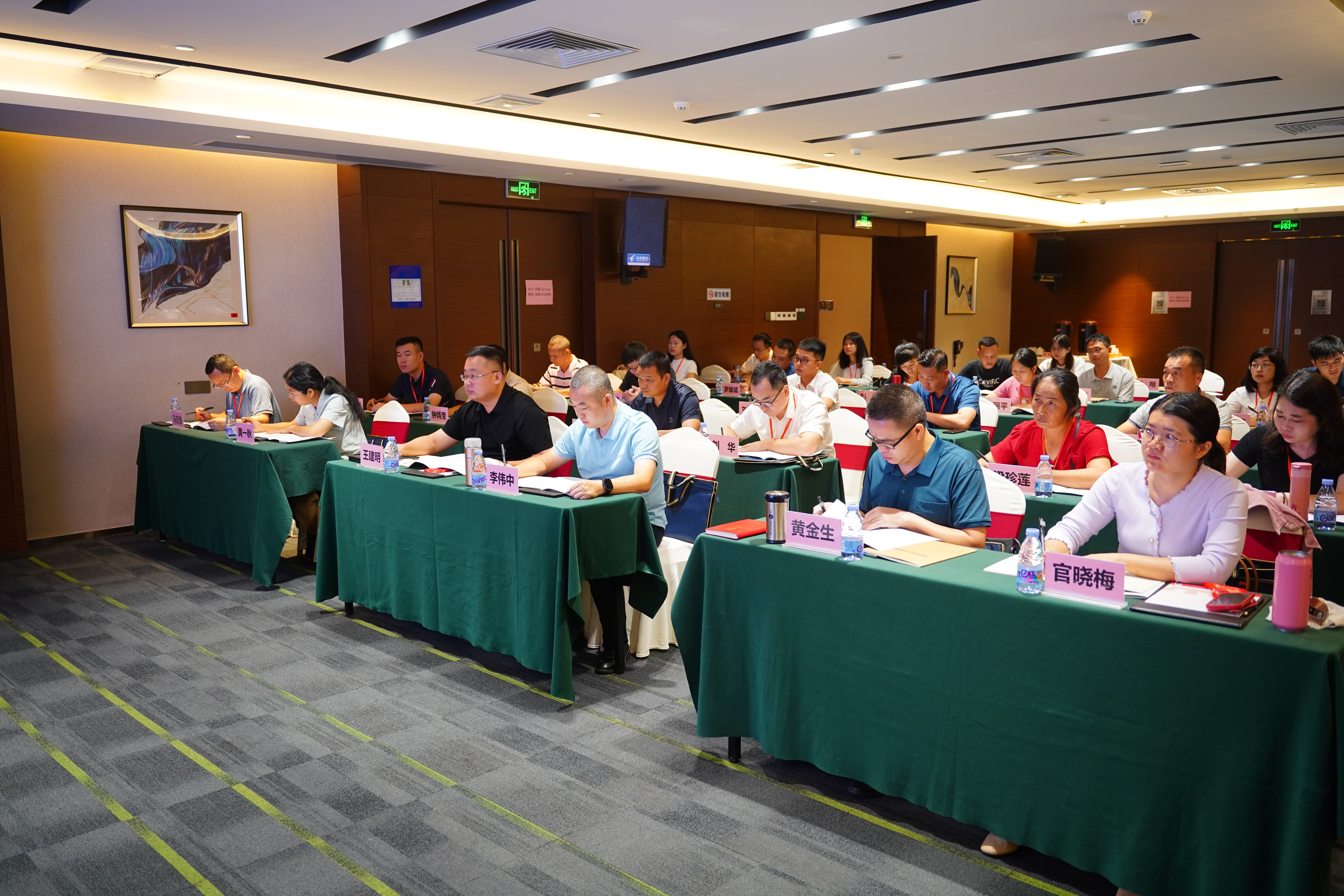 DSC05897_proc.jpg