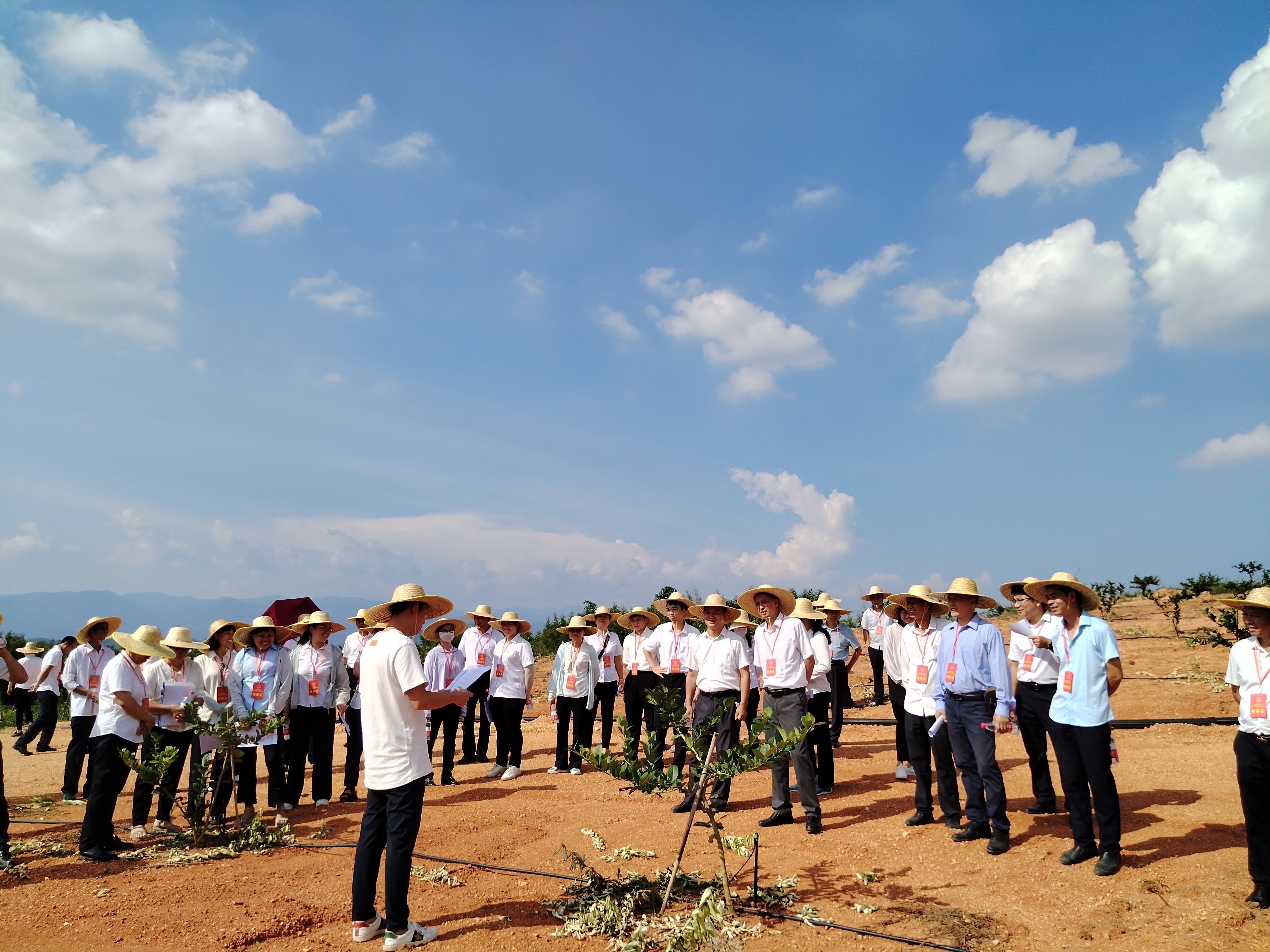 视察组视察香水柠檬种植基地(1).jpg