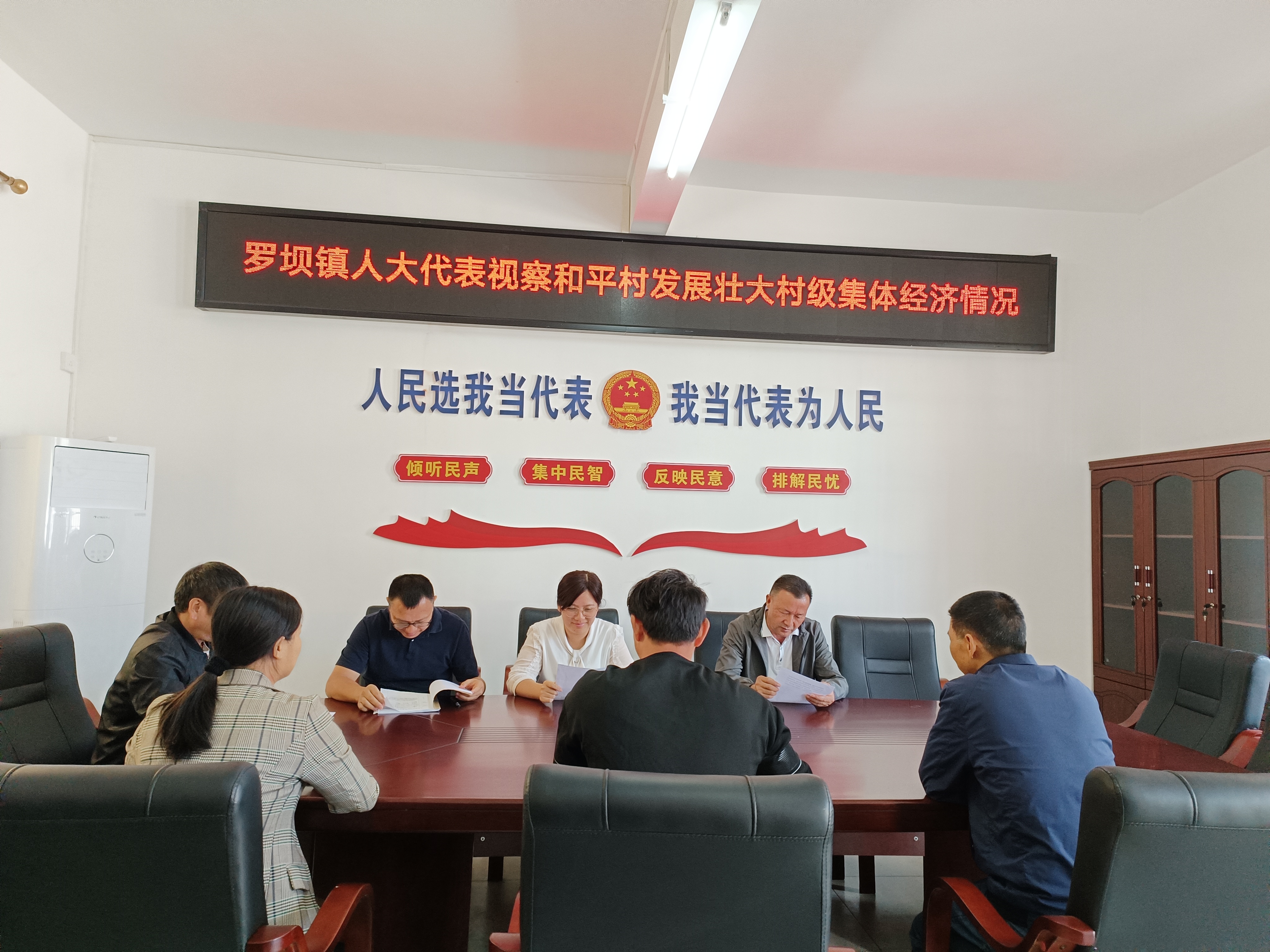 图为：罗坝镇人大代表视察和平村发展壮大村级集体经济情况.jpg