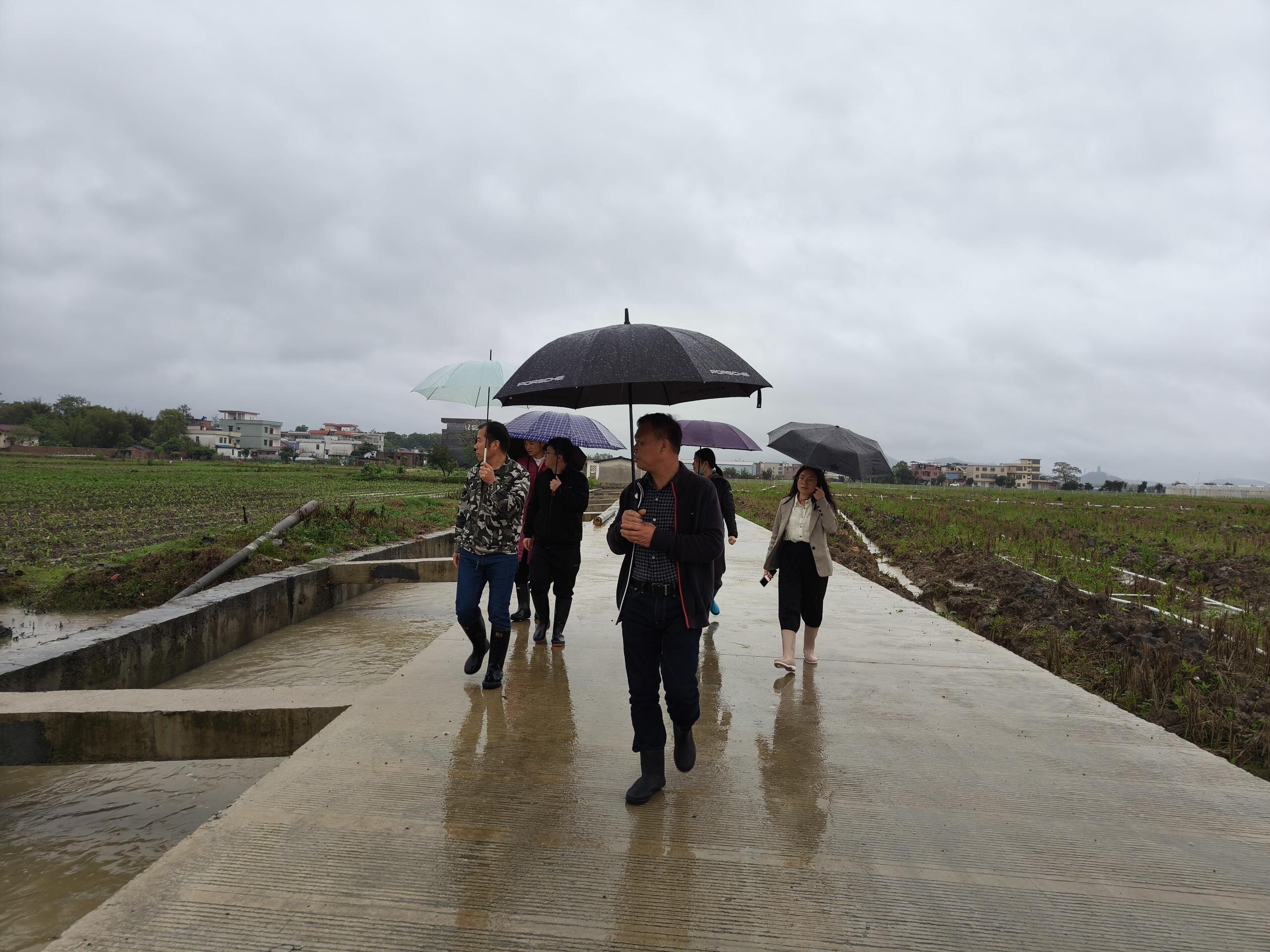 了解河道排水、农田受灾情况_proc.jpg