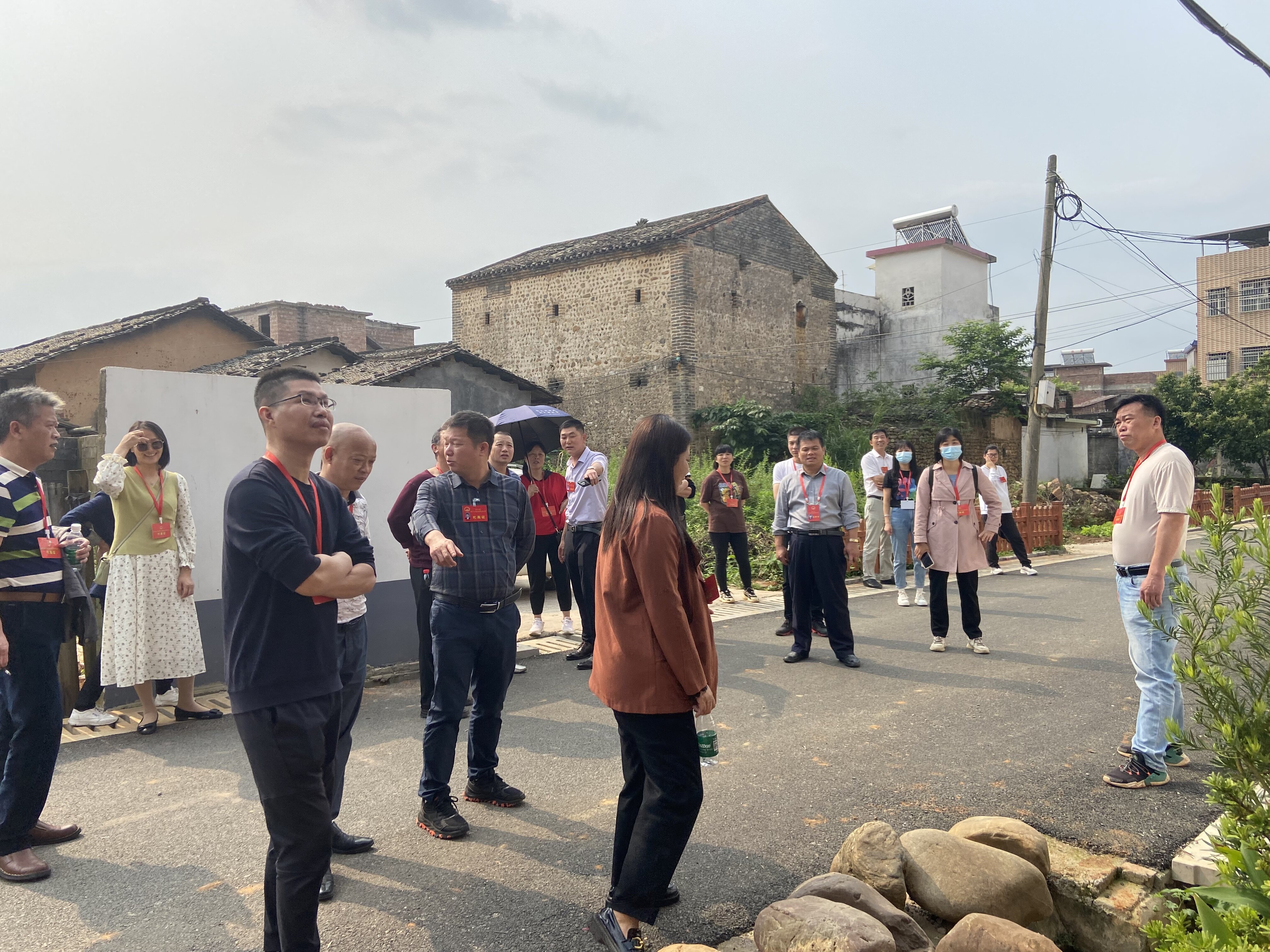 太平镇人大组织开展绿美乡村建设工作情况视察活动 (2)_proc.jpg