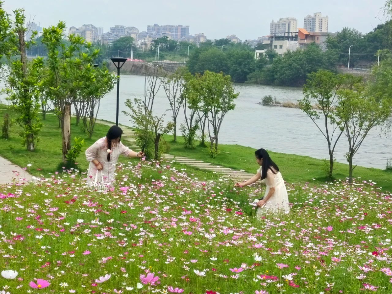 微信图片_20240511095612.jpg