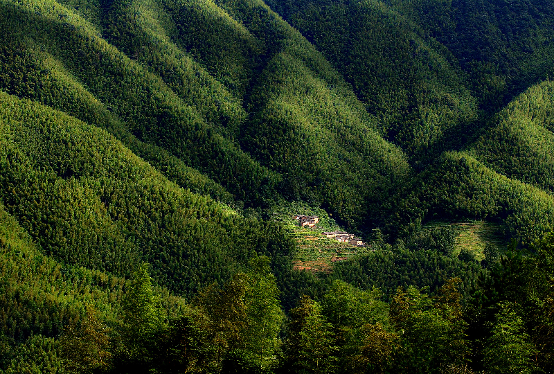 始兴县北山竹海.jpg