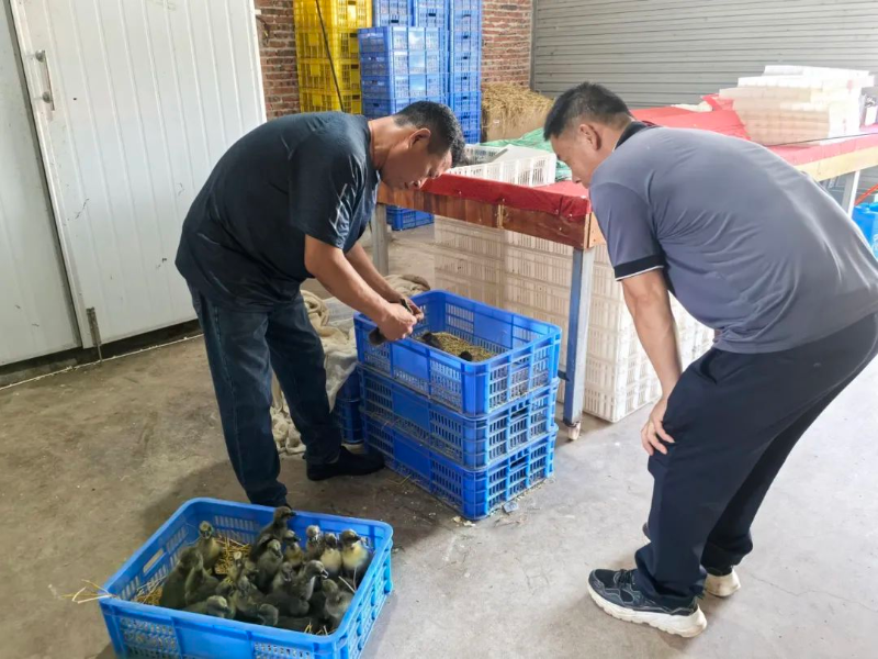 微信图片_20250611100708.jpg