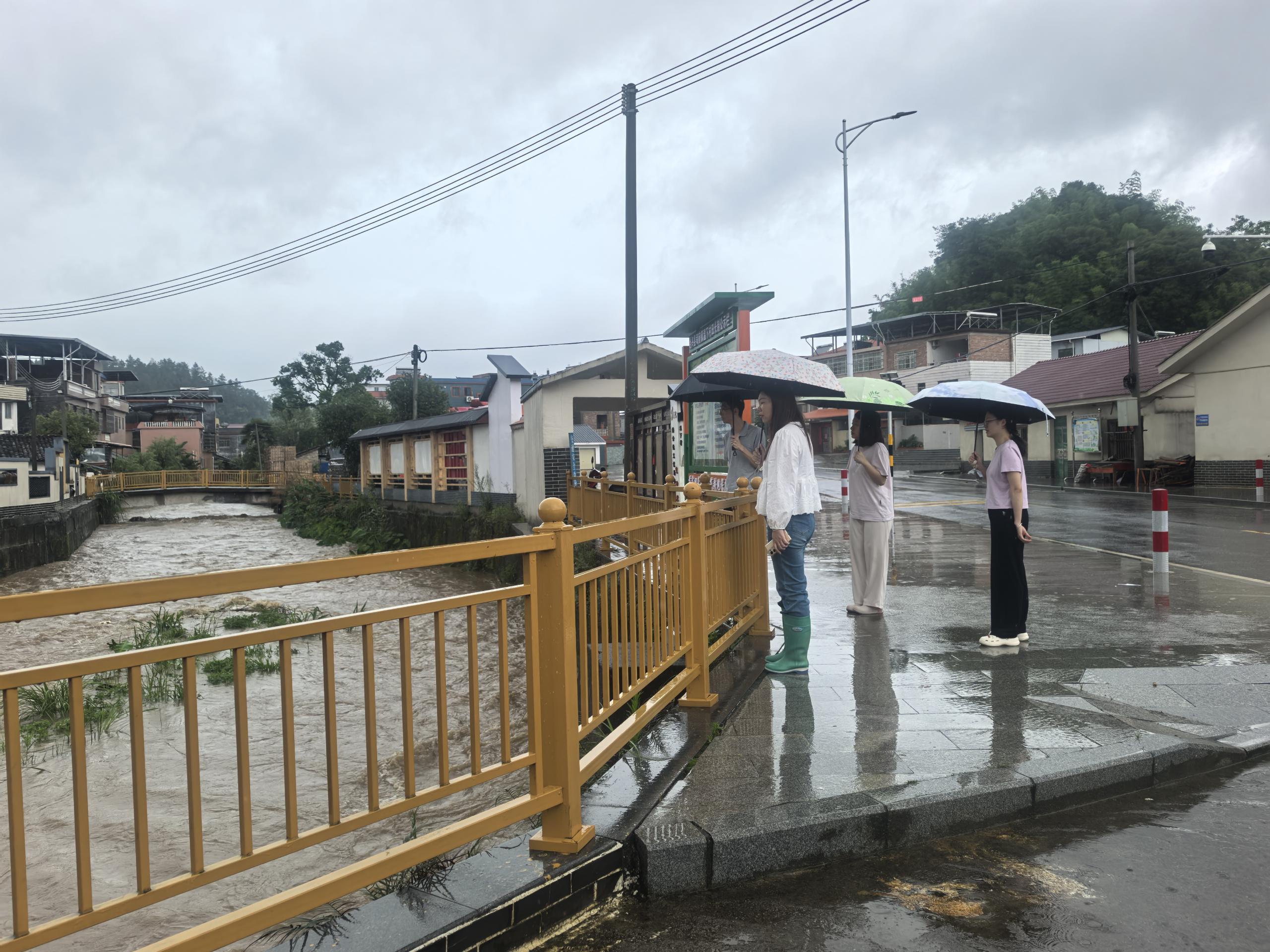 人大代表勇挑重担，筑牢防汛“安全堤”2.png