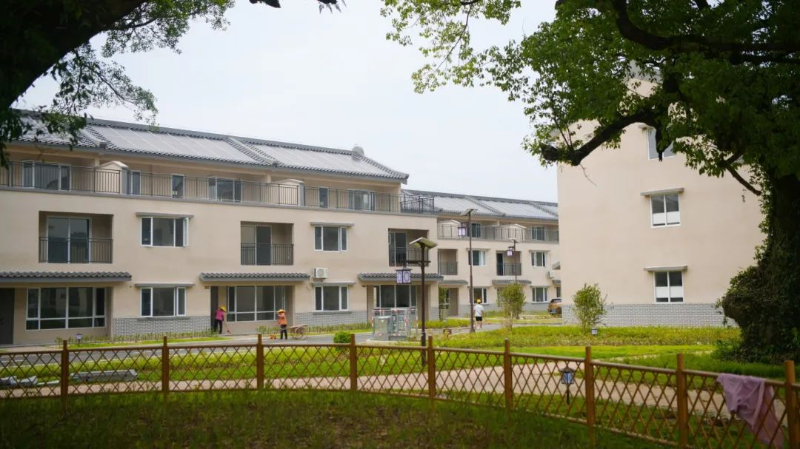 周所未来社区榕树2.jpg