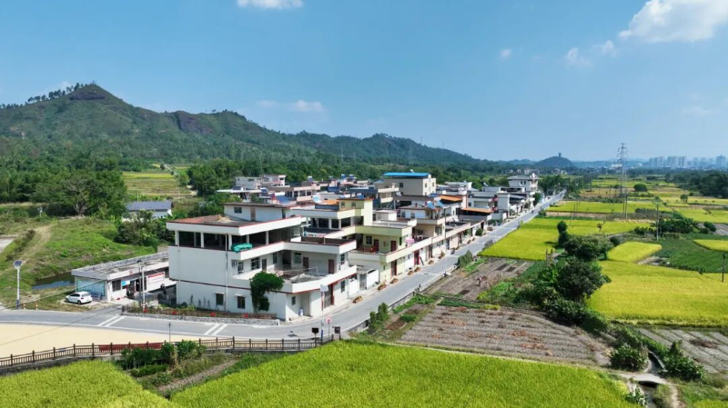 八一村.jpg