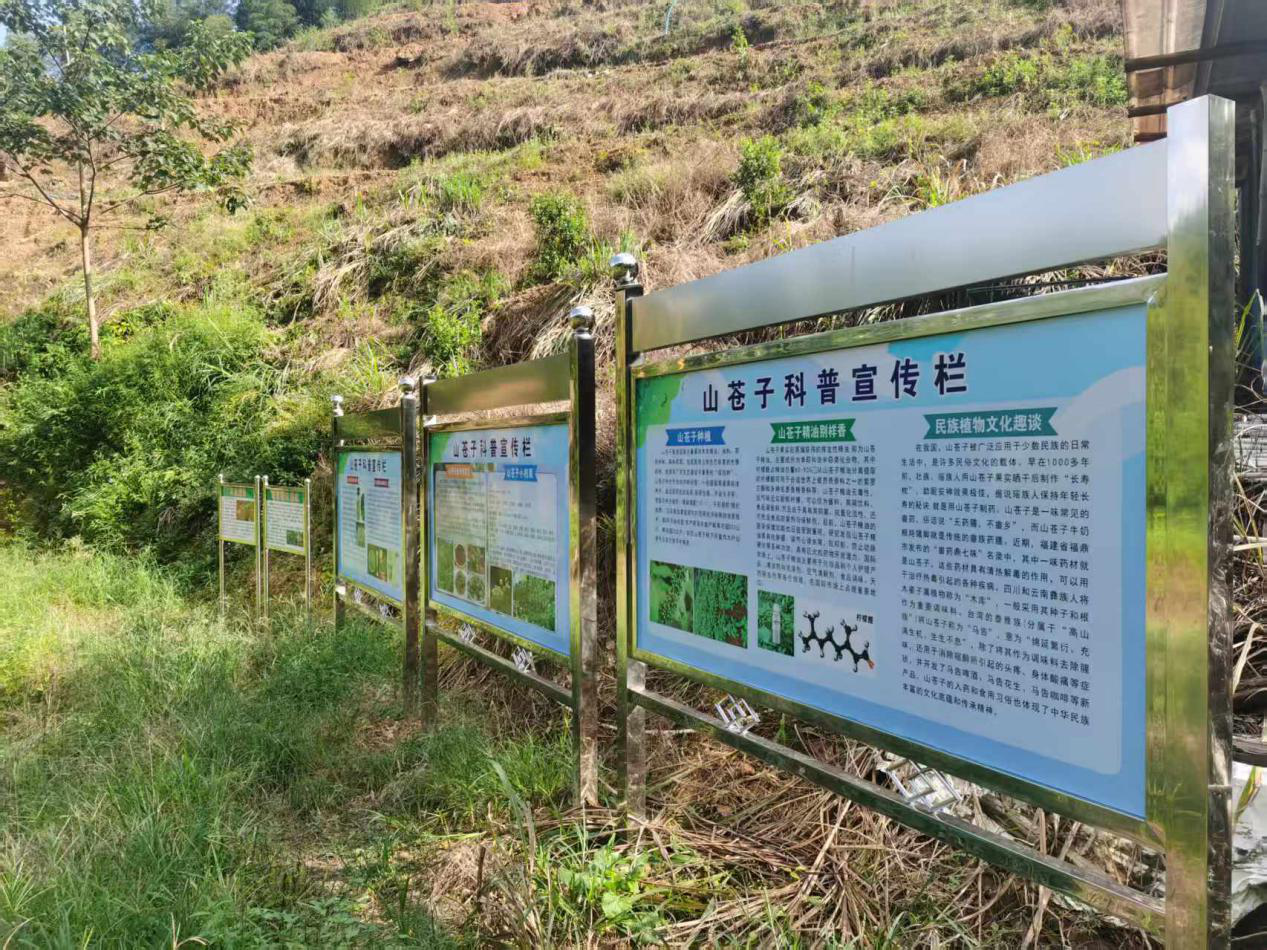 深渡水瑶族乡山苍子种植示范基地.png