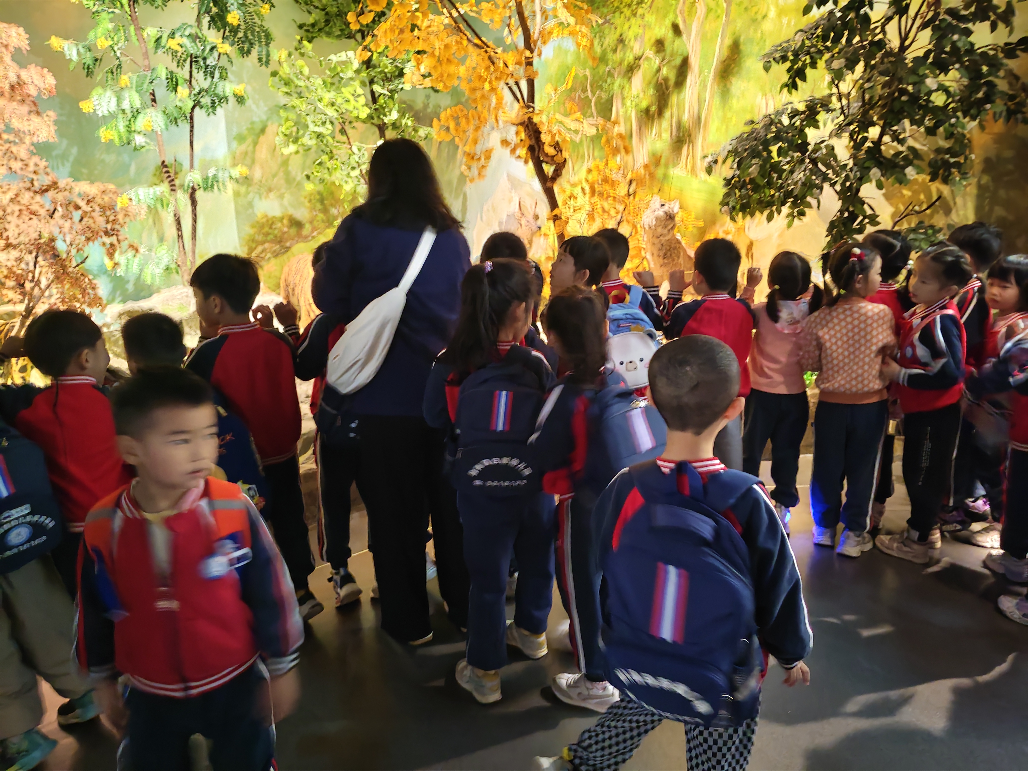 微信图片_20260401164849_199_57.jpg