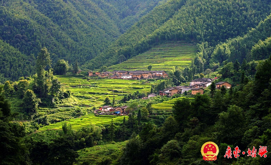 谢义雄《北山竹乡》