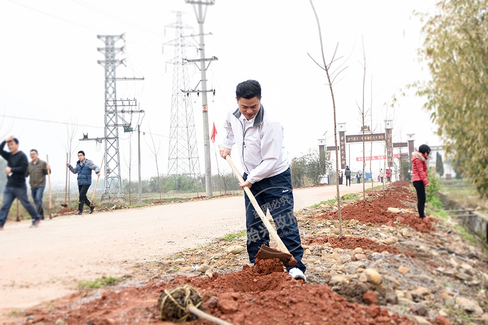 全民植树 为始兴增绿添彩